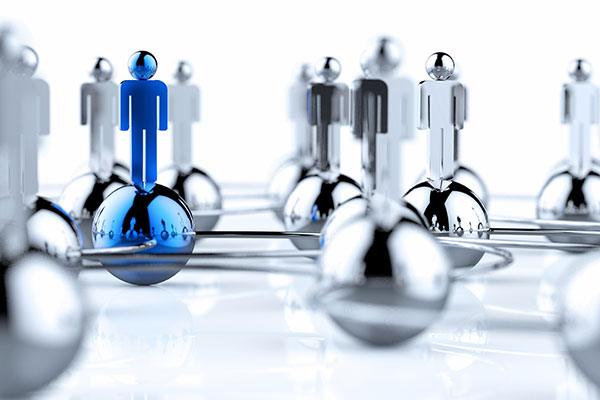 Búsqueda y selección